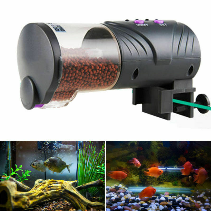 fish tank automatic feeder